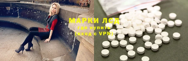 ПСИЛОЦИБИНОВЫЕ ГРИБЫ Бородино
