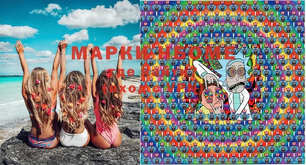 шишки Верхний Тагил