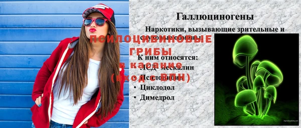 ПСИЛОЦИБИНОВЫЕ ГРИБЫ Бородино