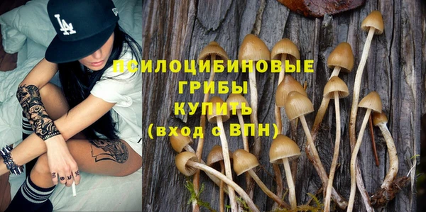 ПСИЛОЦИБИНОВЫЕ ГРИБЫ Бугульма