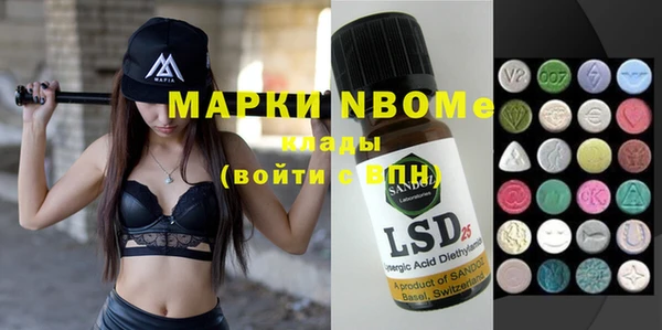 шишки Верхний Тагил